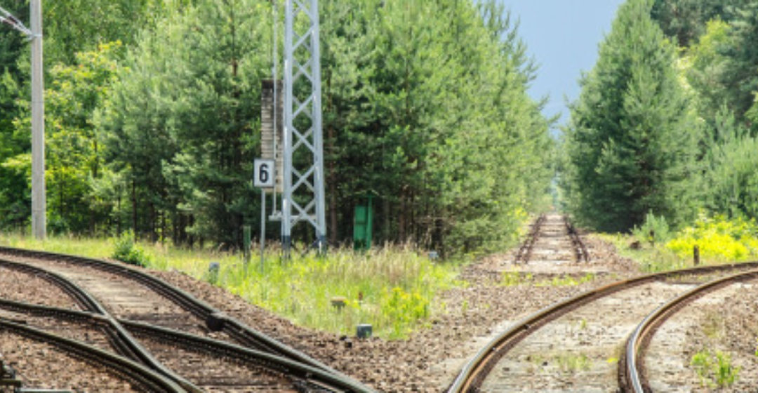 4 Watershed Decisions that Shape Your Life